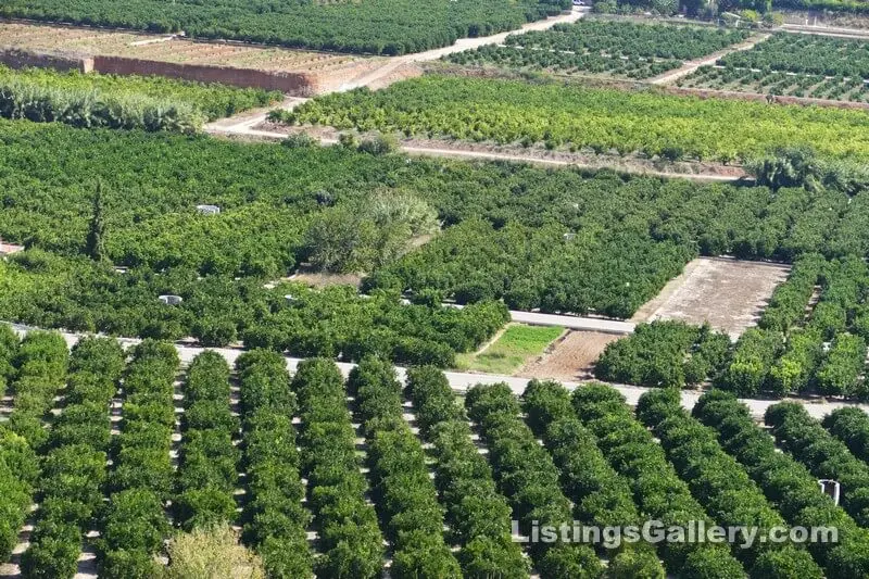 Listings Gallery (Spain) - Classifieds Directory 94 00286 Costa Blanca